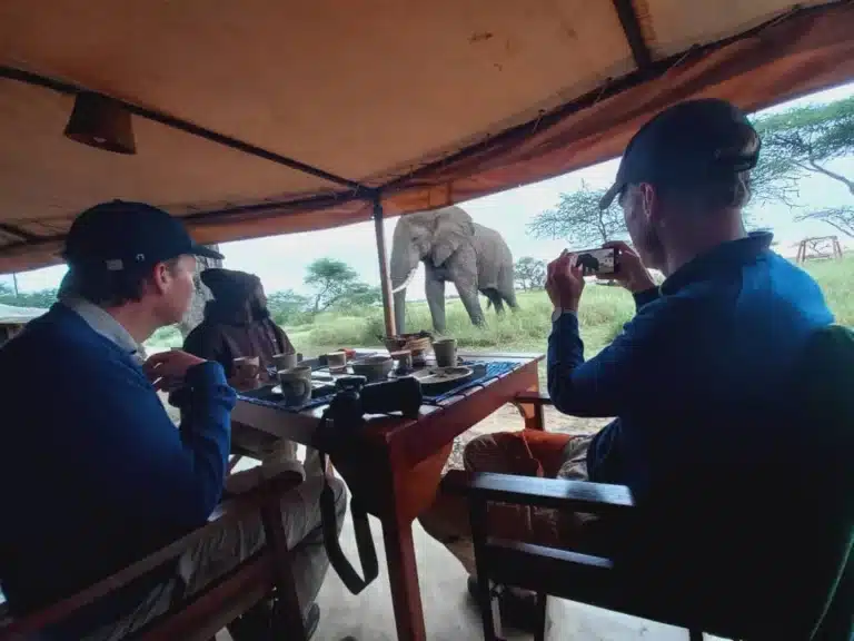 Lernen Sie Hemedi kennen, ein Teil des Baobab Camp Erlebnisses!