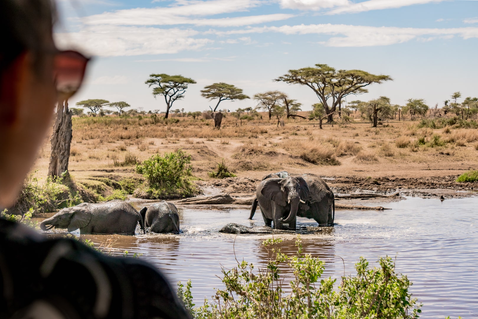 FN_Tanzania_Safari_web_027