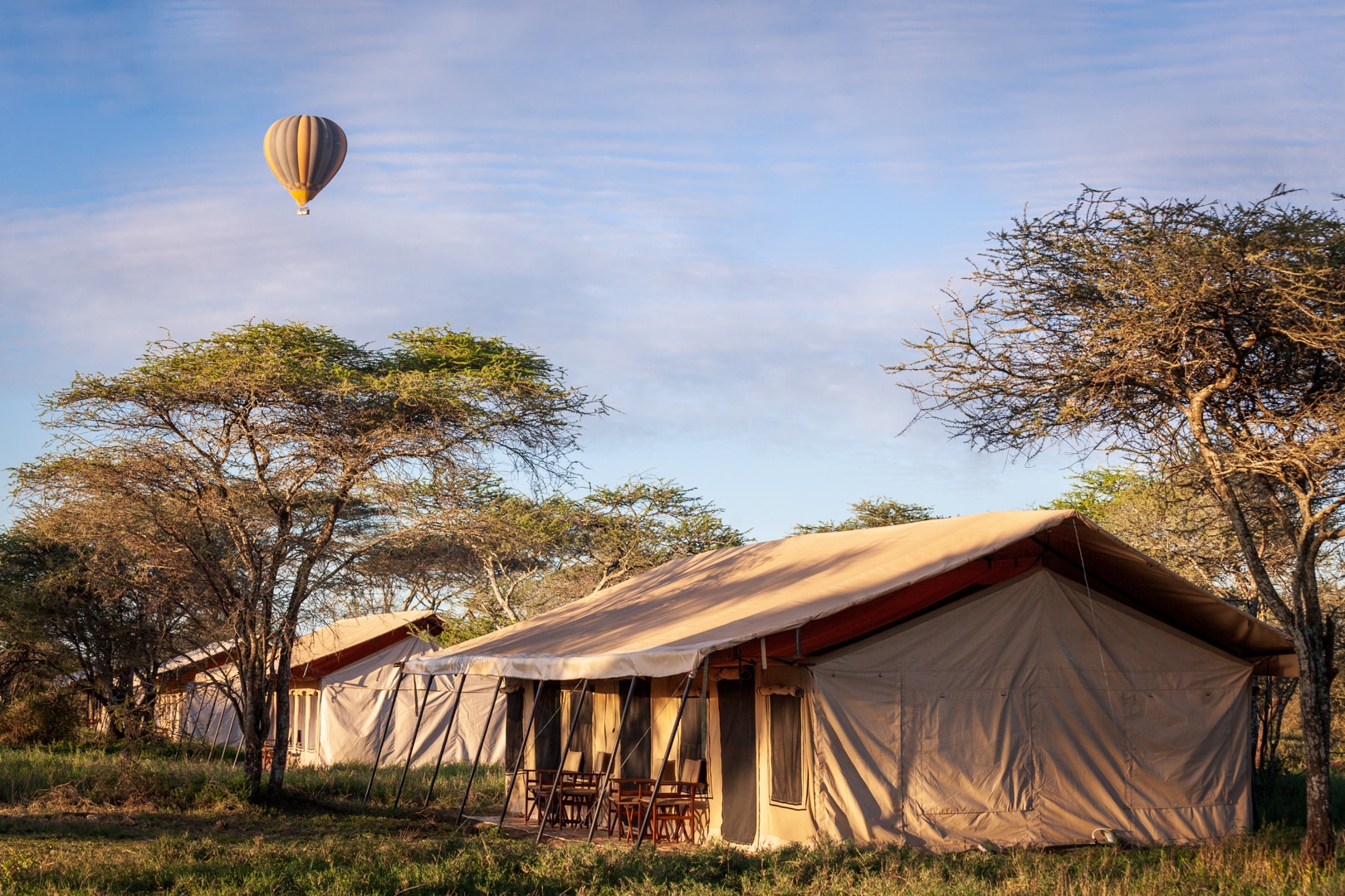 Guest tent under acacias with a balloon overhead