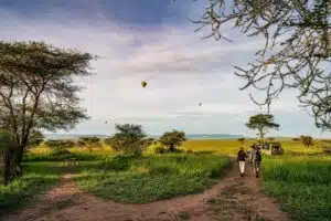 Serengeti National Park, Tanzania