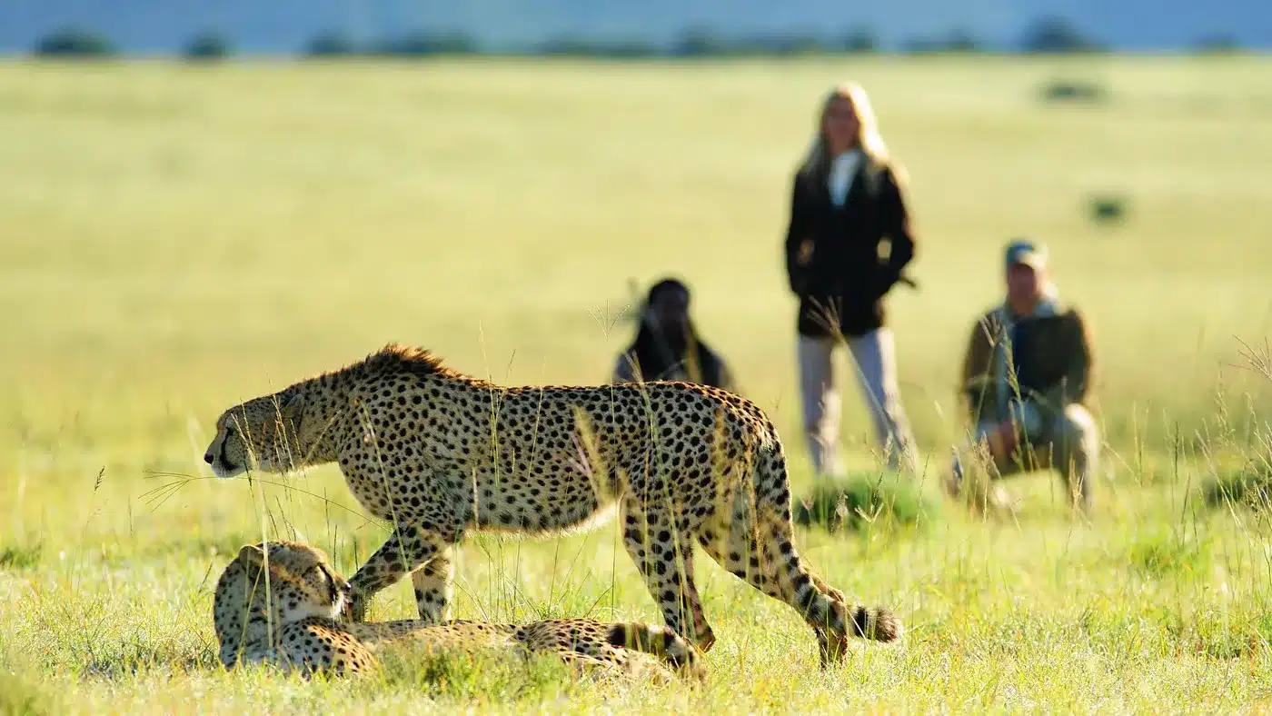 Walking safari at Shamwari Game Reserve