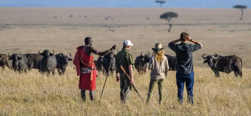 A group of tourists and an armed park ranger encountering a large African elephant on foot during a walking safari Tanzania experience.