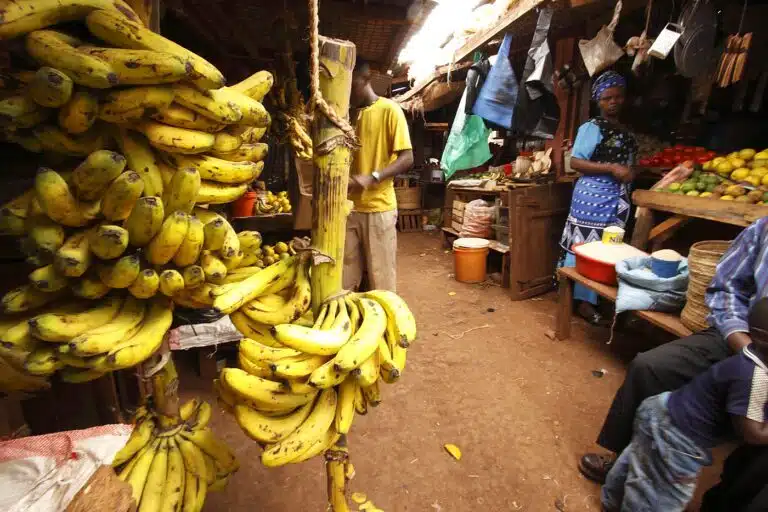 Karatu Town, ¡un auténtico cruce de safaris!