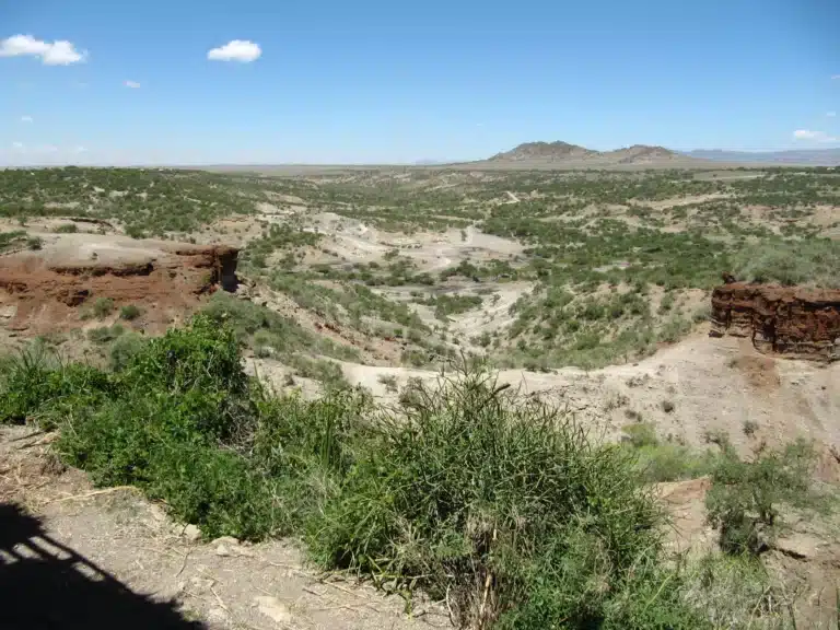 Olduvai Gorge