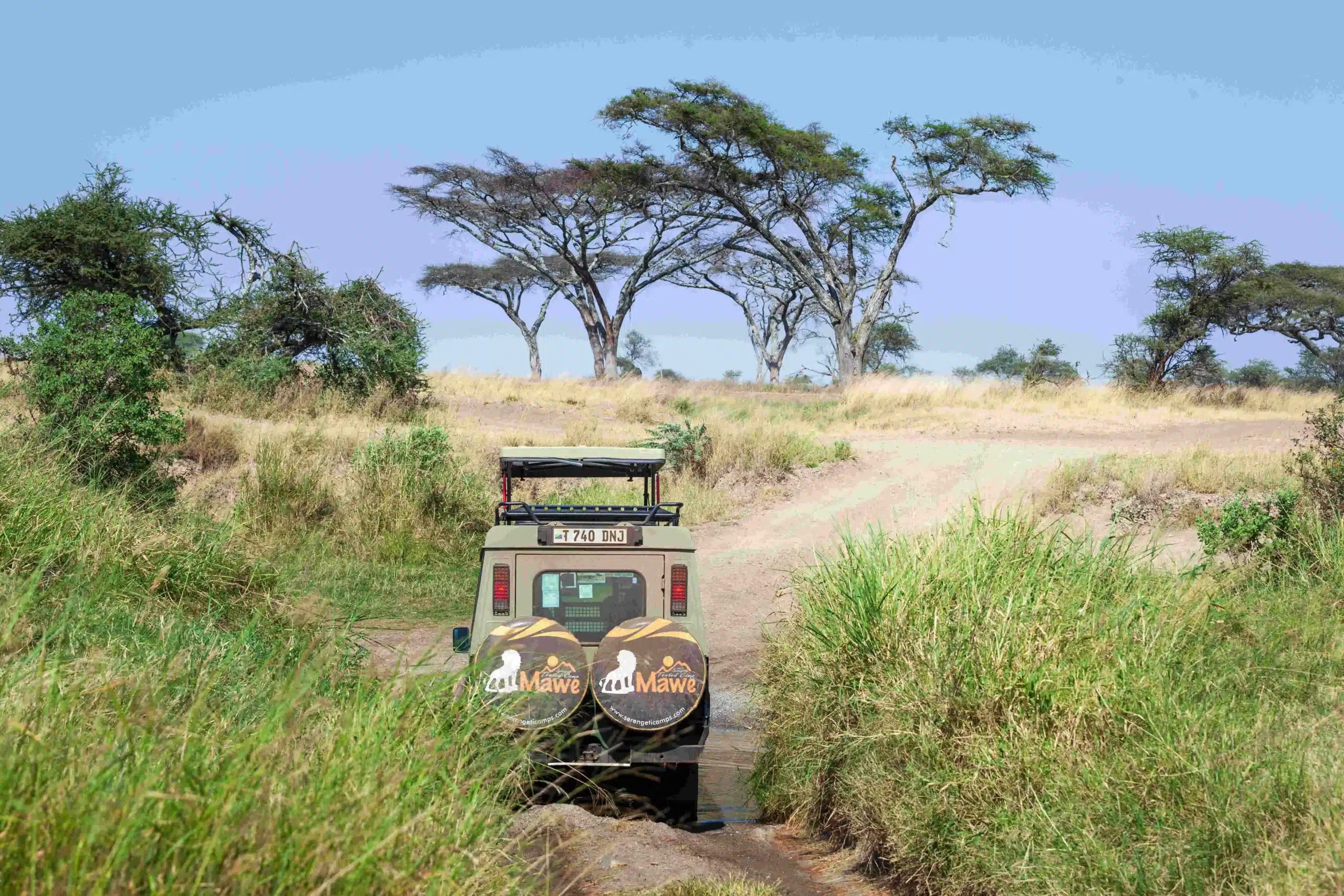 Closed 4x4 safari vehicle with a pop-up roof on a Serengeti game drive track