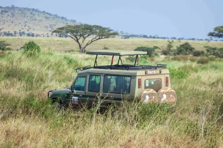 Valle de Seronera: un paraíso para los amantes de la vida salvaje