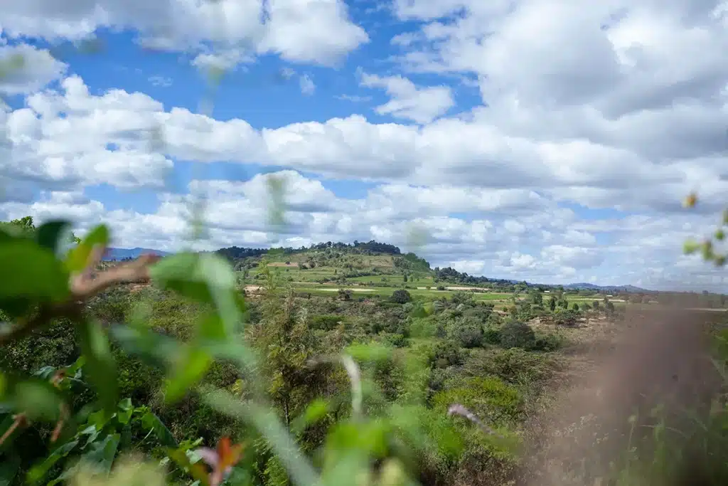 Paesaggio di colline verdi e una valle