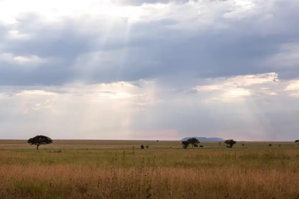 Rain clouds gathering over the open plains