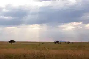 Rain clouds gathering over the open plains