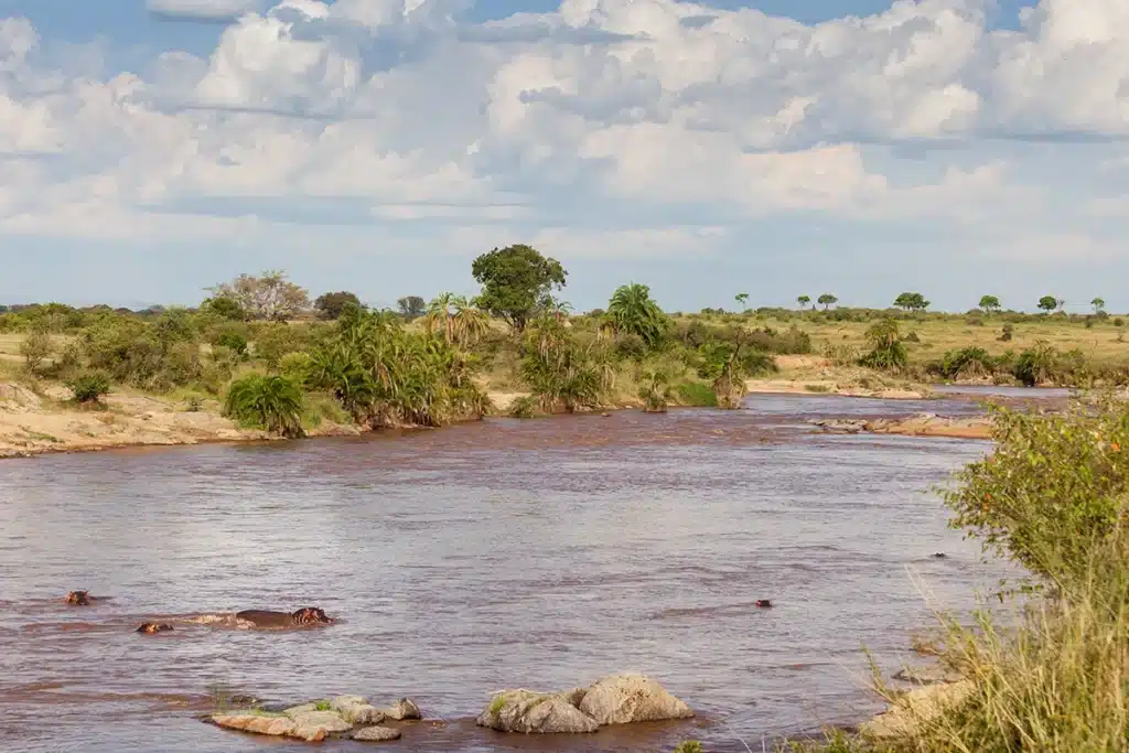 Mara River winding through northern Serengeti bushland