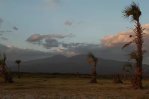 Lake Eyasi landscape