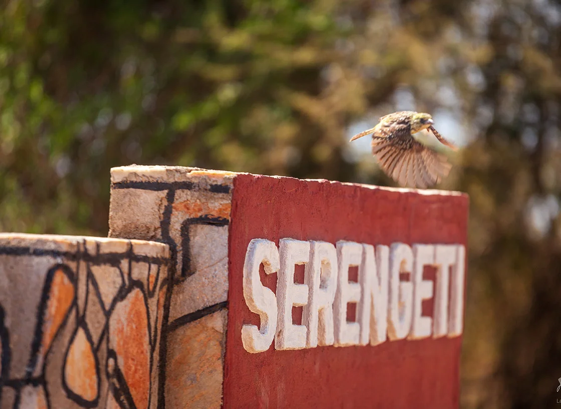 Serengeti_Ikoma_Gate