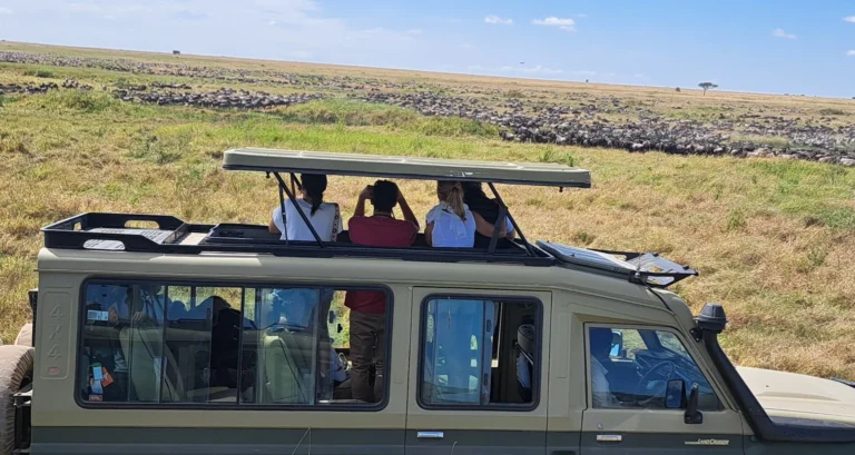 Die Große Migration im Juli