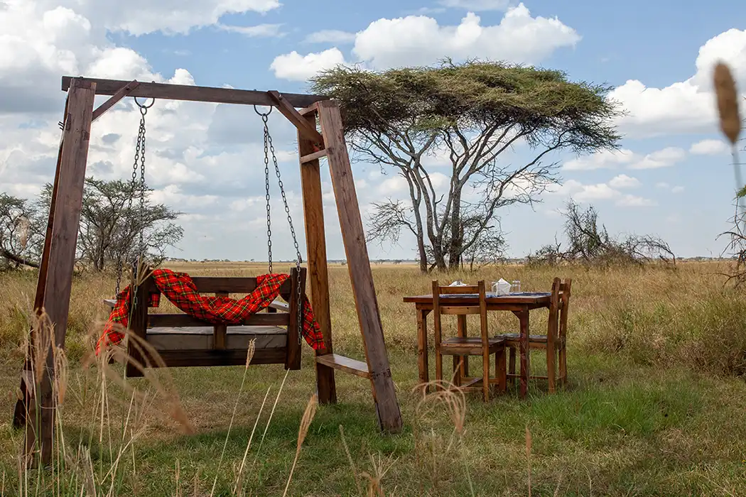 In the middle of a field, a swing set is visible, highlighting the serene landscape near Serengeti Safari Lodge.