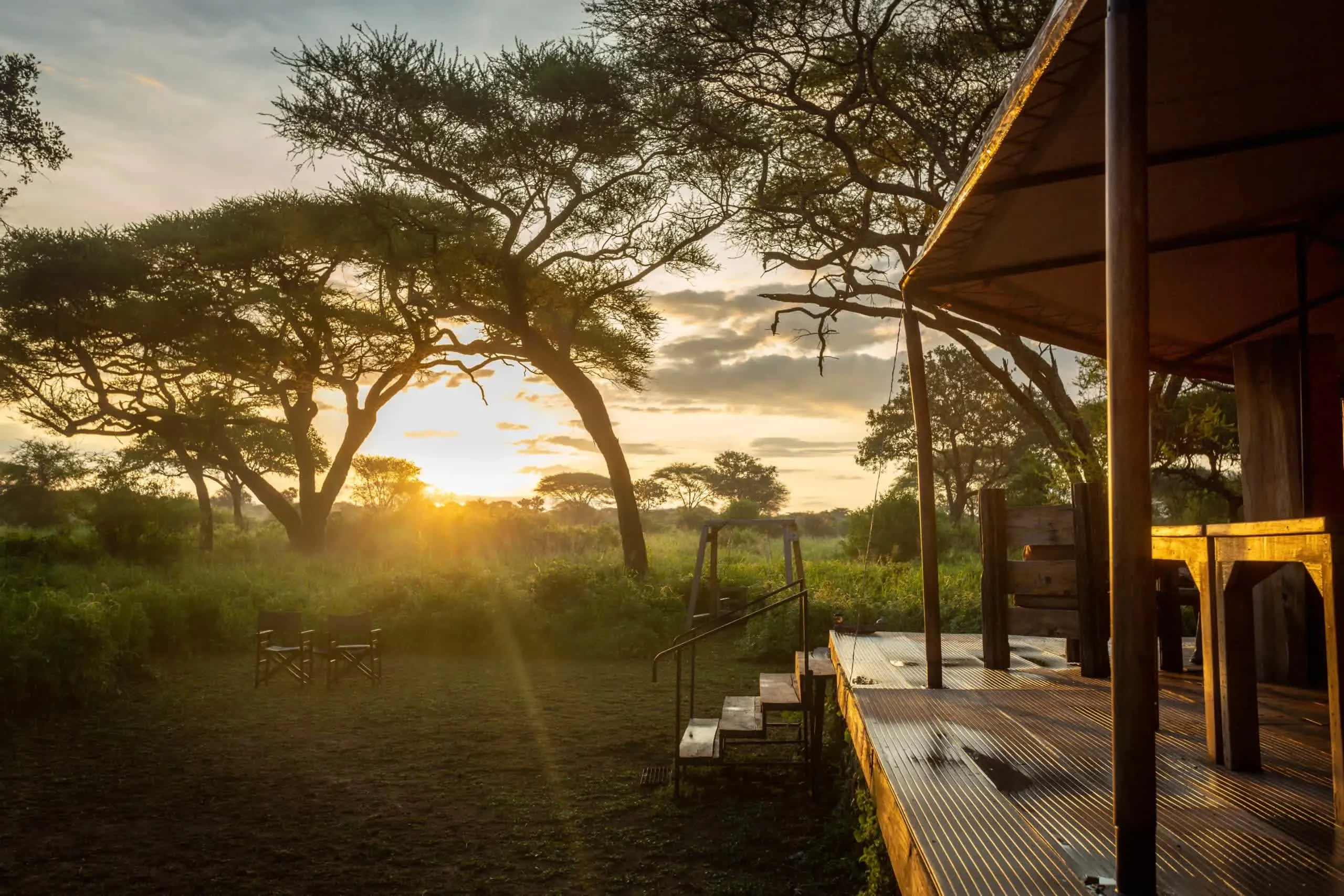 A sunset illuminates the grassy expanse of Baobab Tented Camp, located in Tarangire National Park, creating a serene atmosphere.