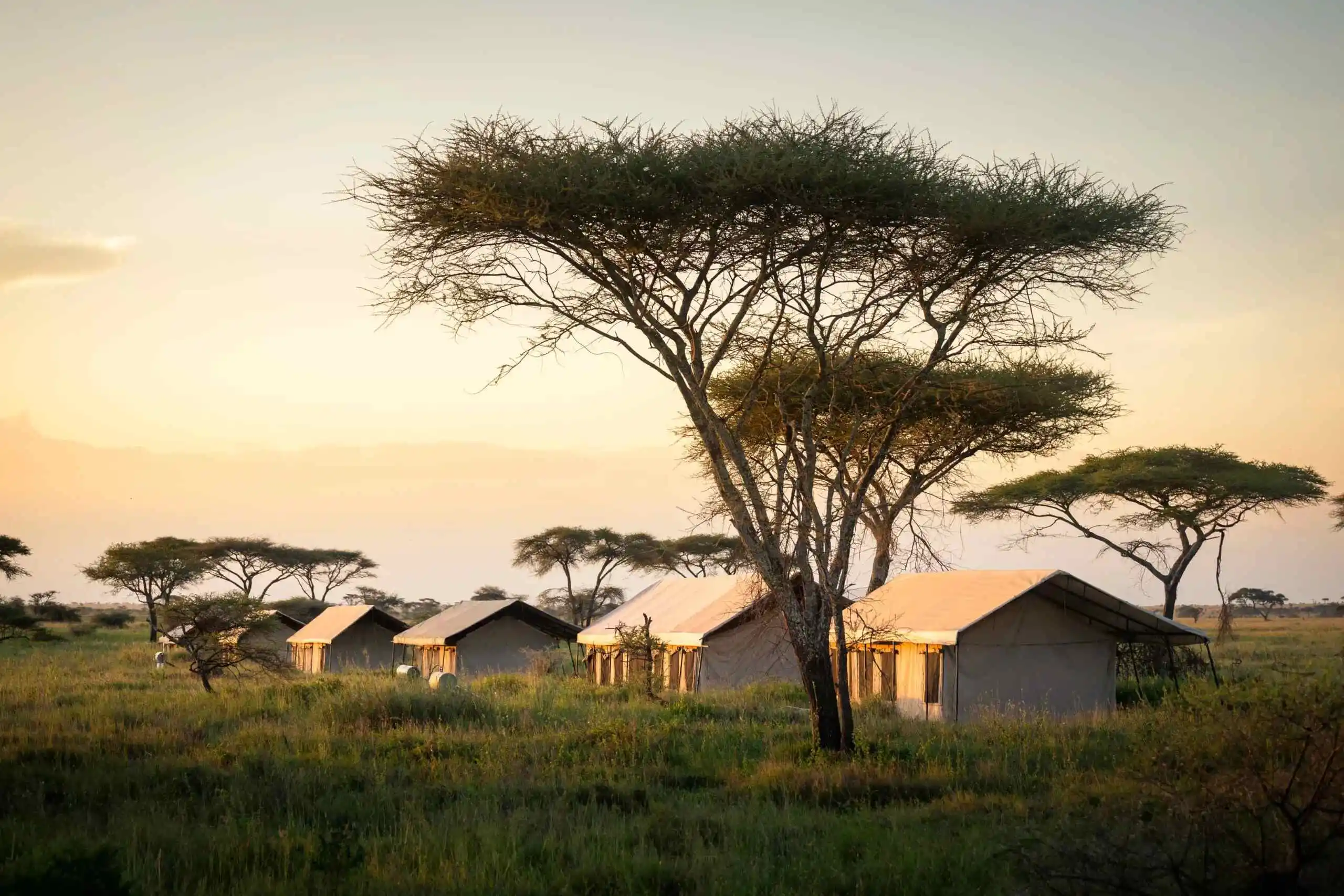 Sunset over the camp, with warm hues illuminating the sky and tents nestled among the iconic African landscape.