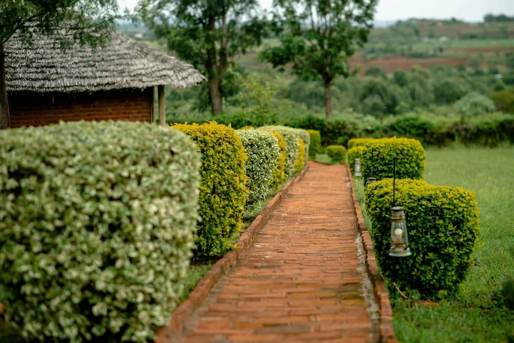A brick path running through the gardens at Karatu Tented Lodge