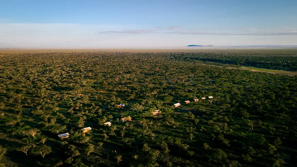Aerial view of the green plains at dawn
