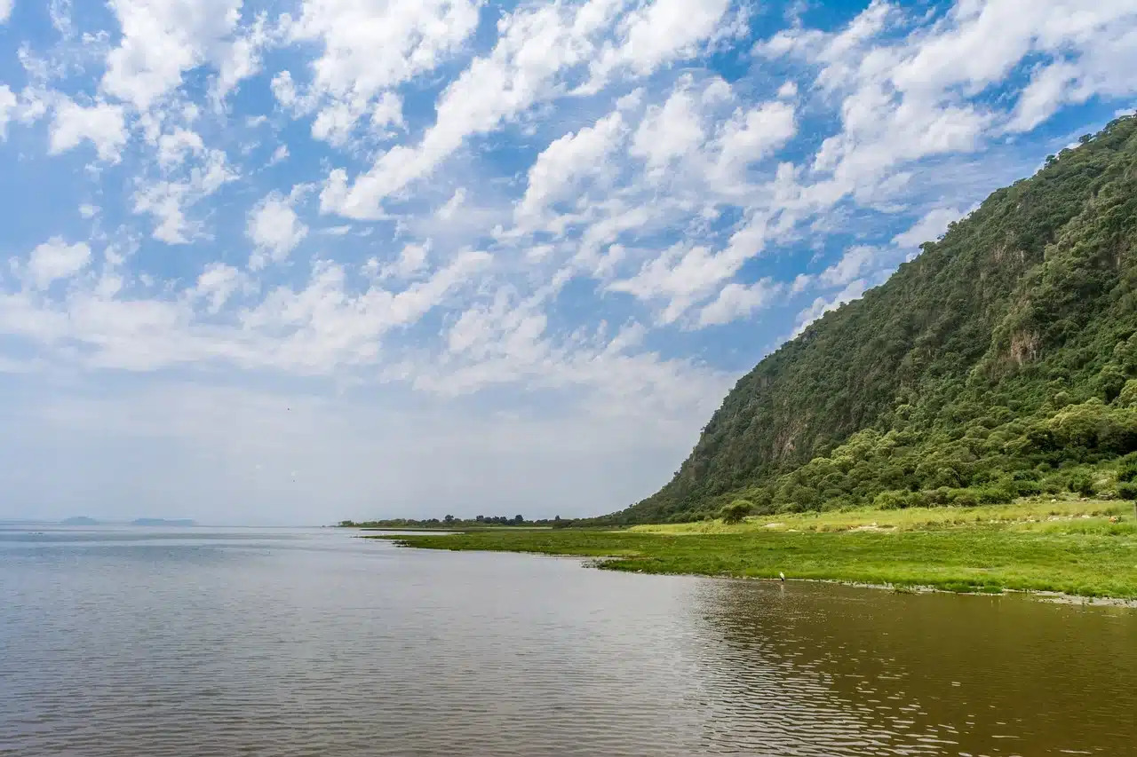 The shallow soda lake at Lake Manyara with the Rift Valley escarpment rising above the green shoreline