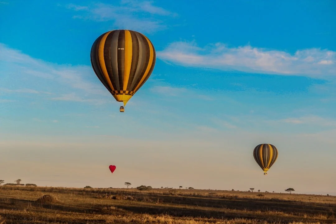 Hot air balloons floating over the Serengeti at sunrise