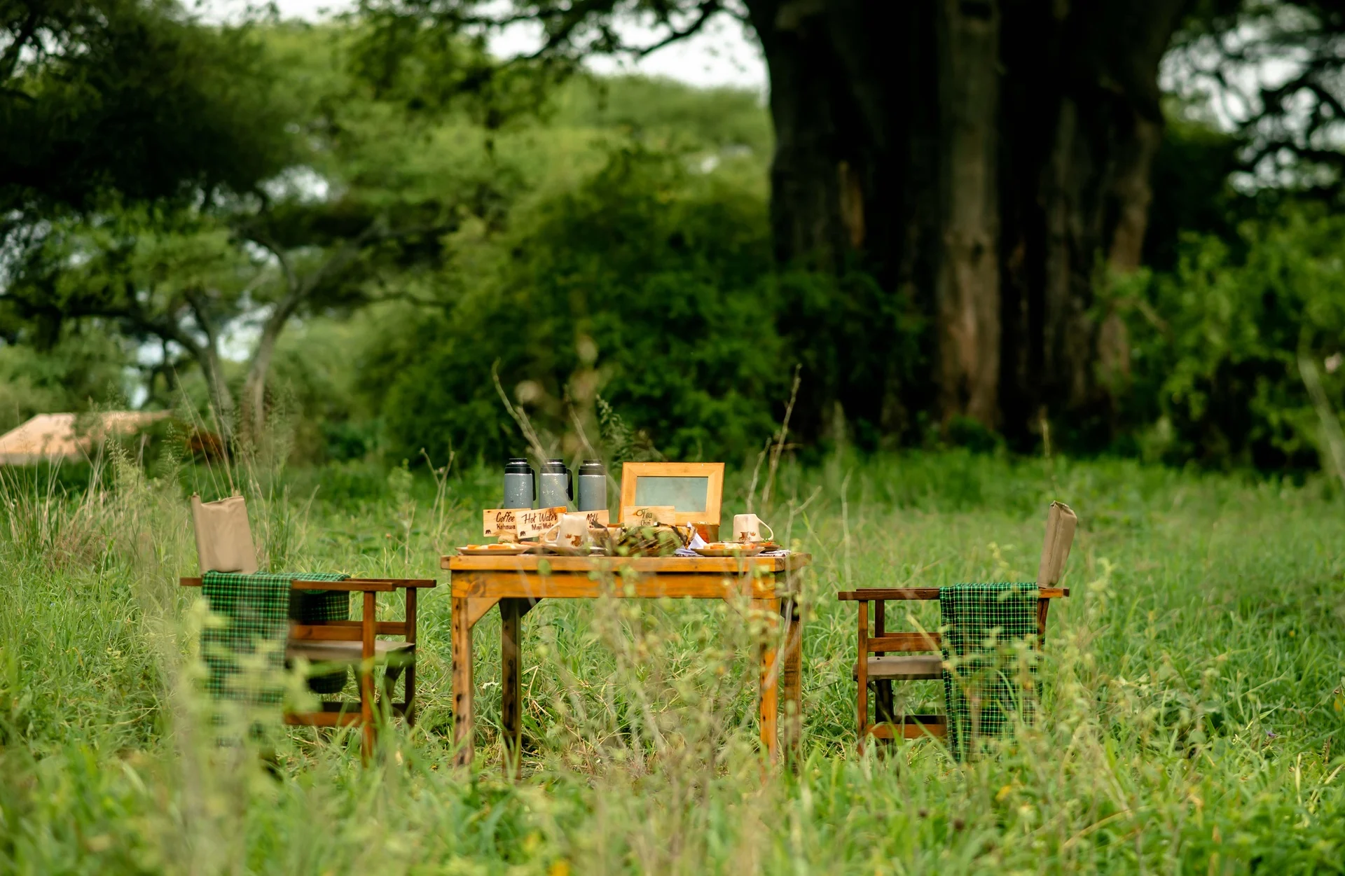 Bush breakfast set under a Baobab