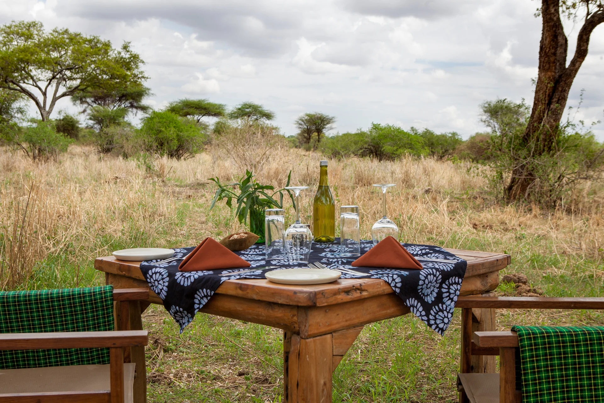 Bush lunch table set in Tarangire