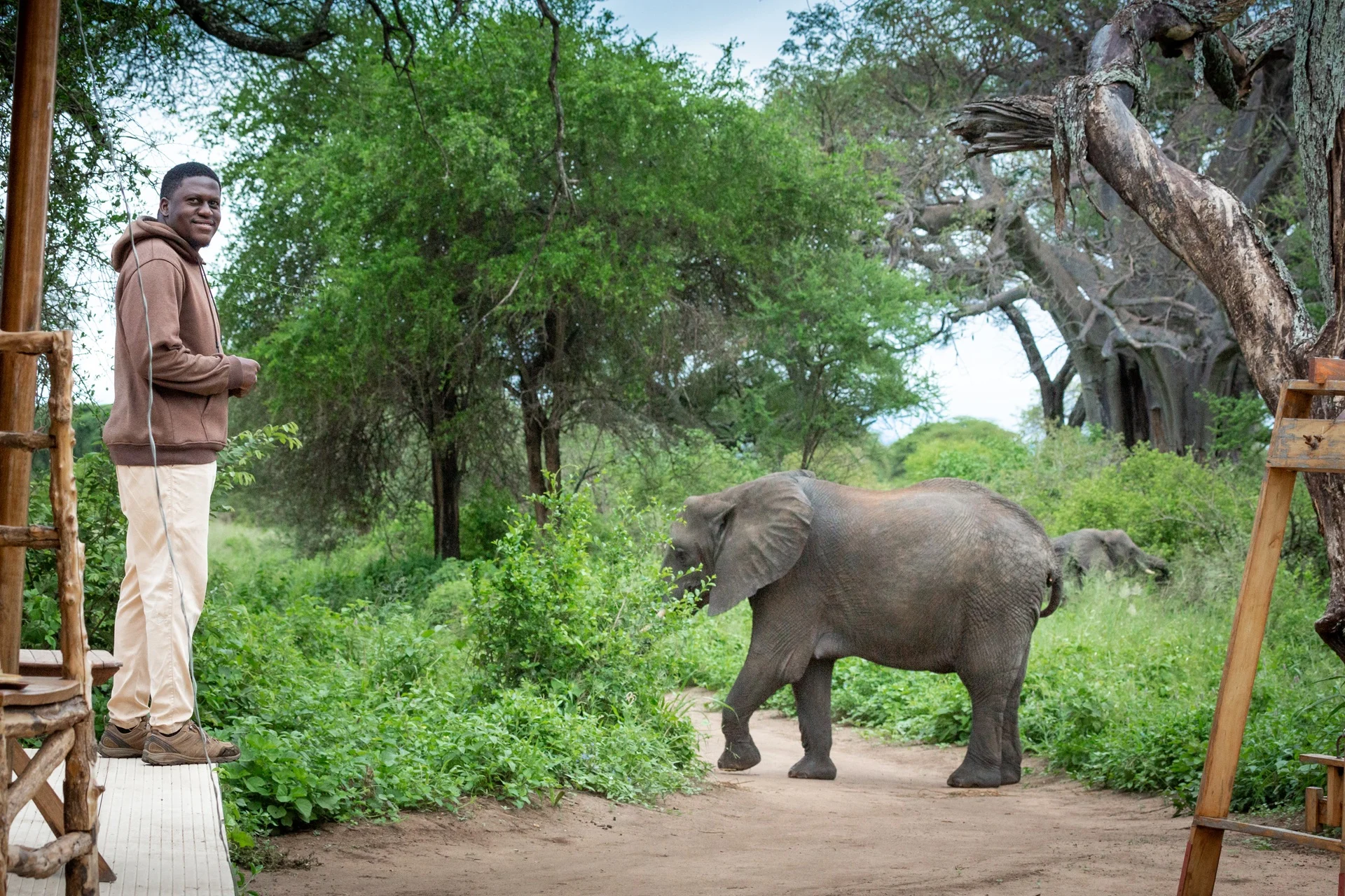 Camp guide watching elephant on path