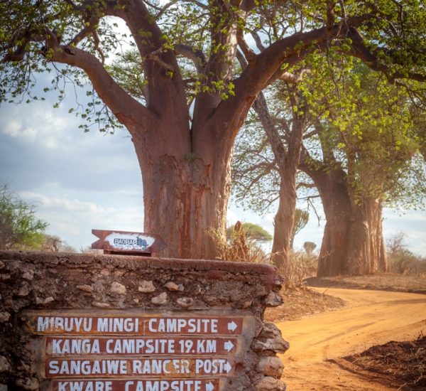 how to reach baobab camp tarangire