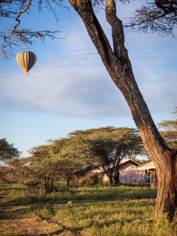 Balloon safari at gnu migration camo