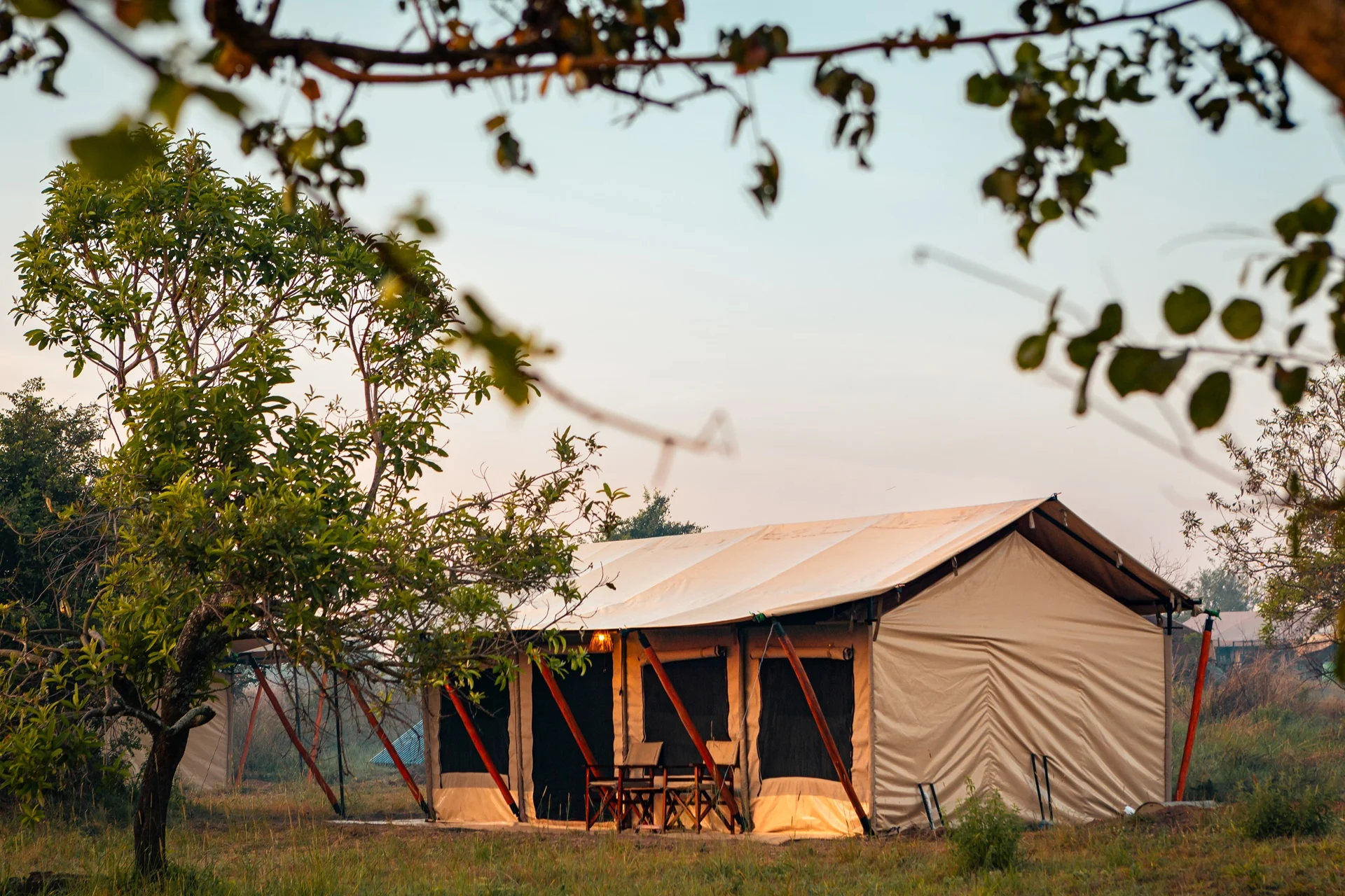 guest-tent-at-dawn-gnu-mara-river-camp.webp