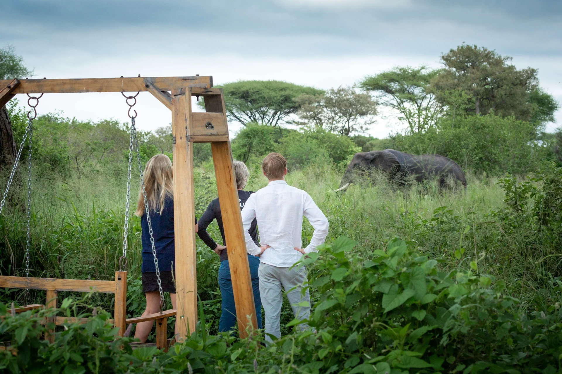 Guests watching an elephant from Baobab Camp