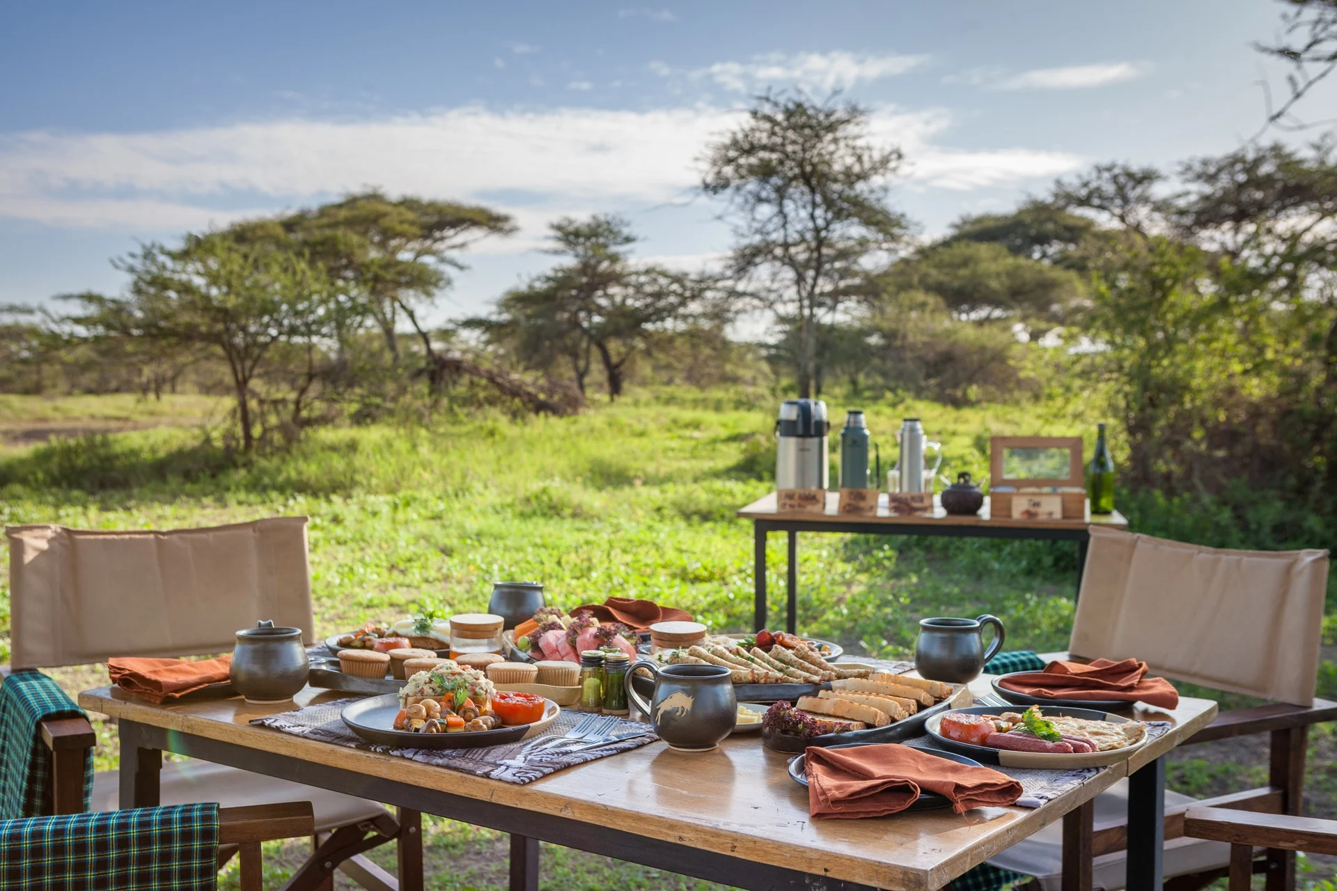 luxury-migration-camp-bush-breakfast.webp