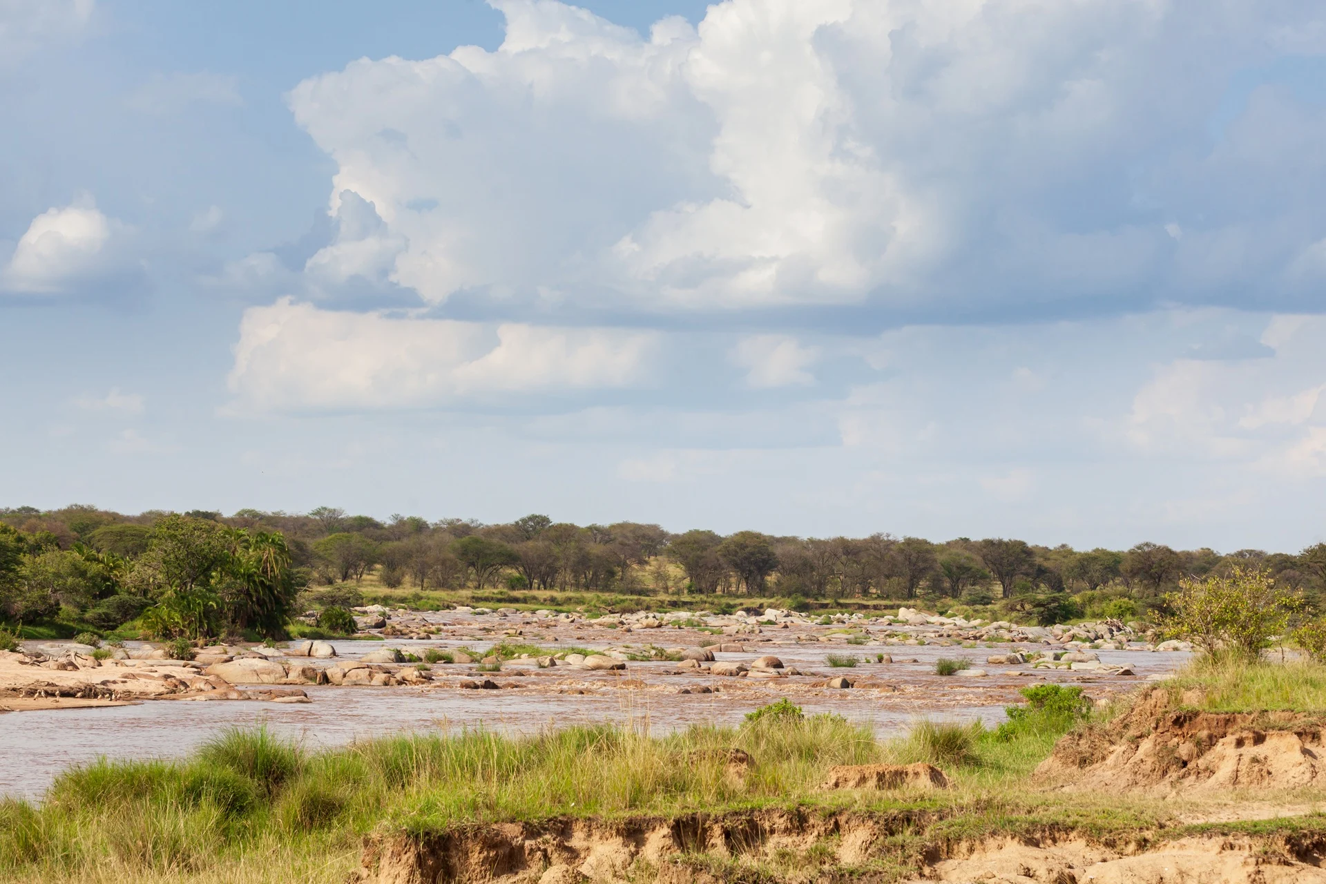 mara-river-crossing-point-near-gnu-mara-river-camp.webp