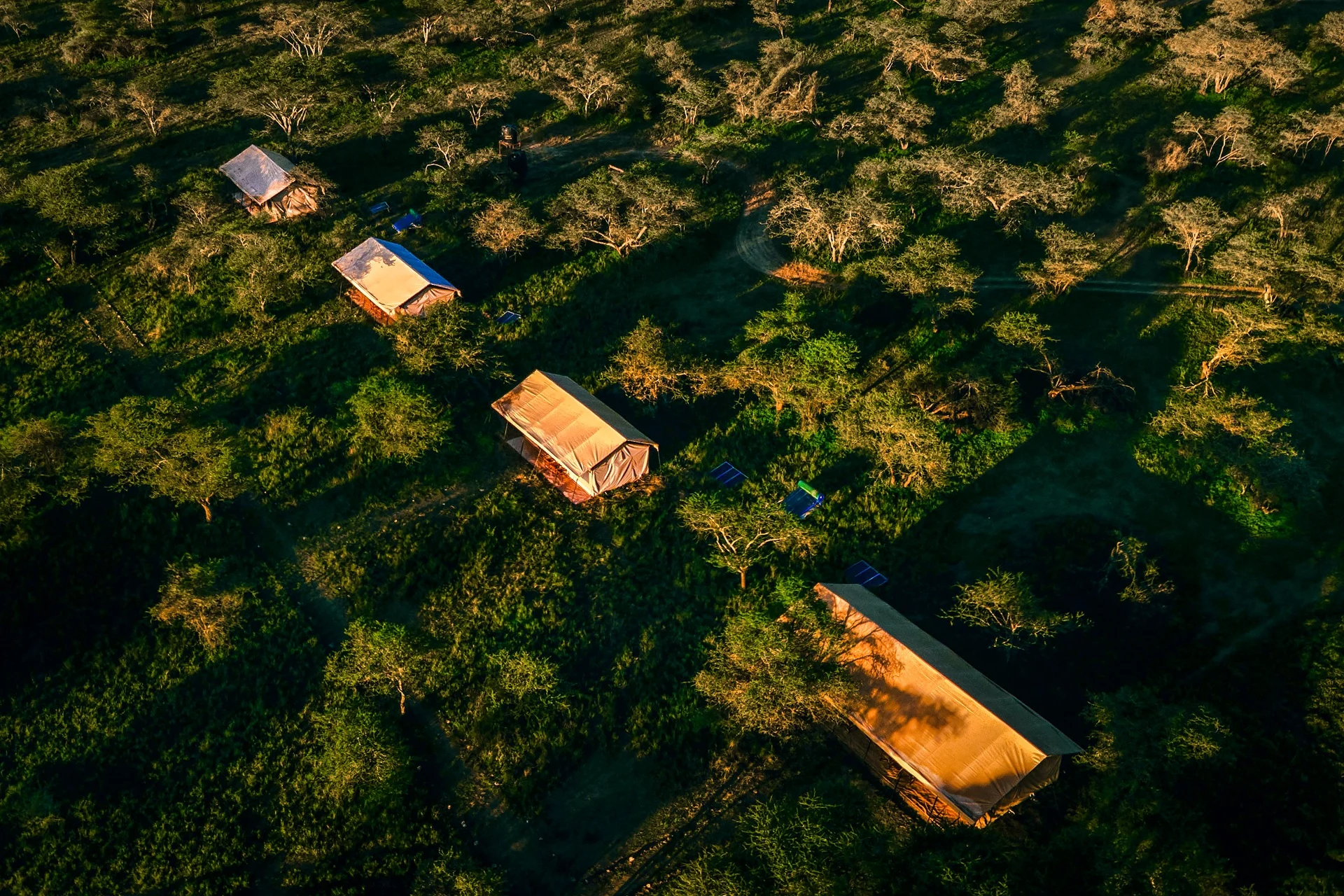 Aerial view of the tents at Gnu Ndutu Camp spread along the plains