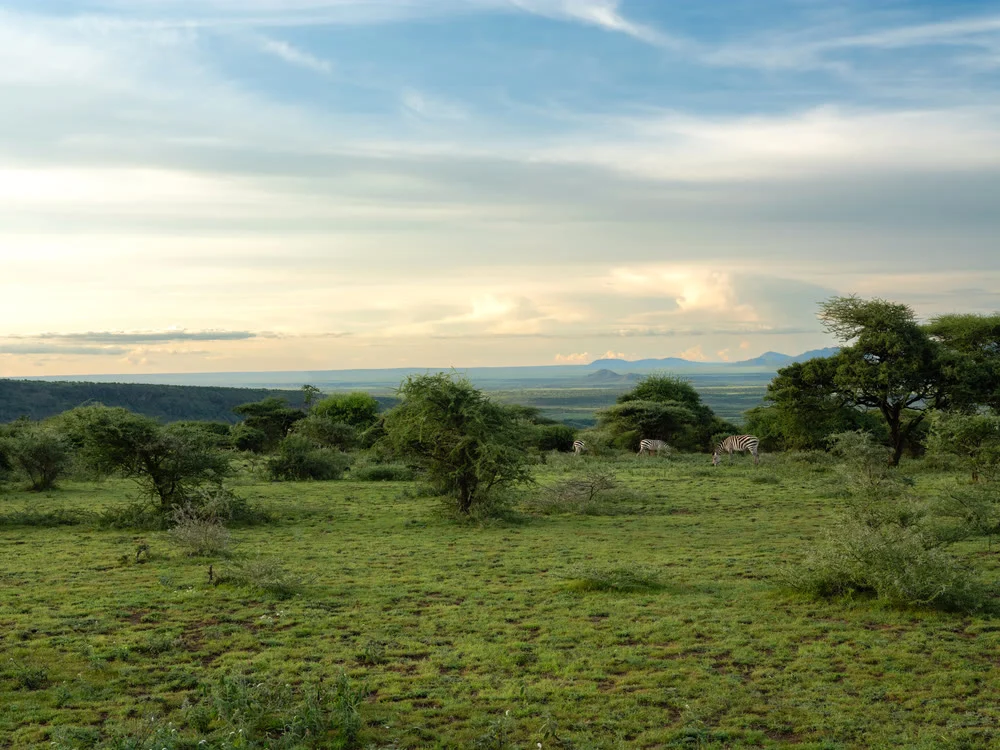 The Ngorongoro highlands rolling away under a wide sky