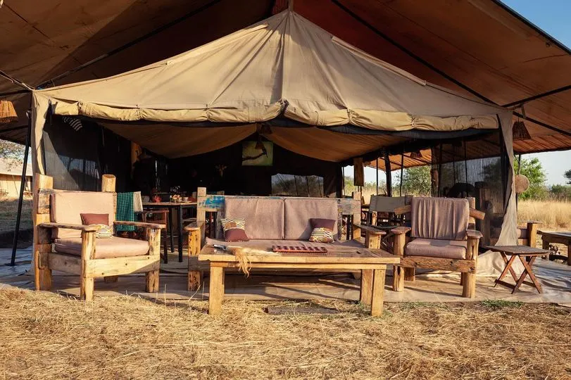 A tent with a table and chairs set up in a grassy field at Gnu Ndutu Camp in the Southern Serengeti.