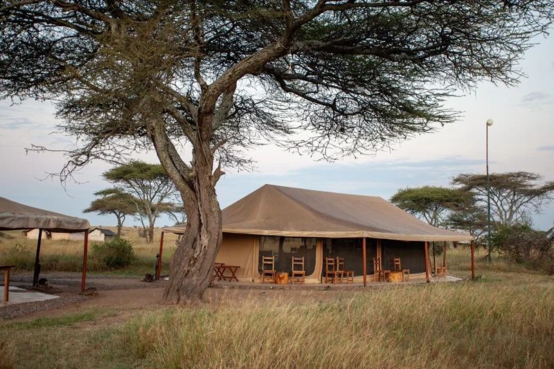 Mawe Tented Camp Outdoor