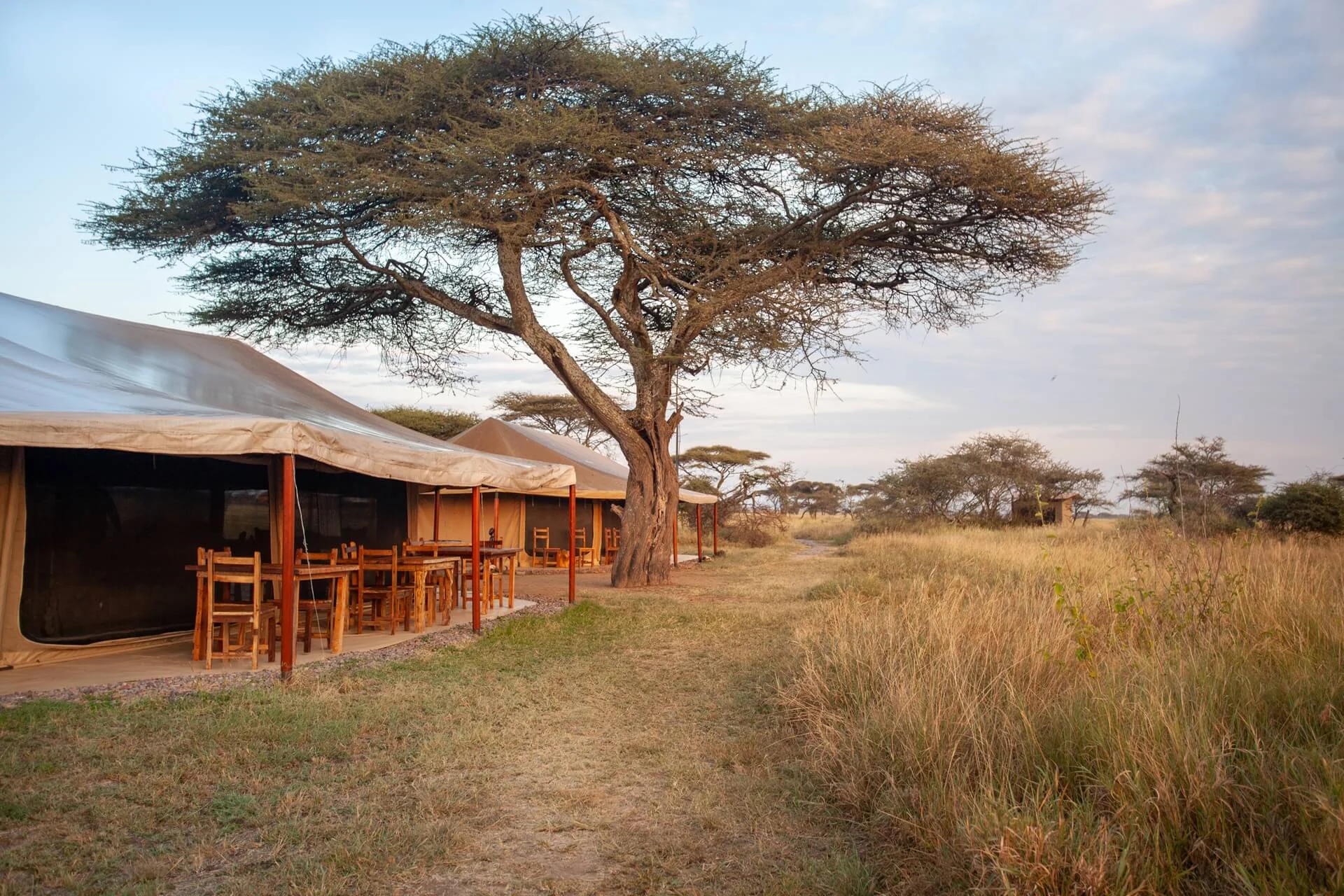 serengeti-mawe-tented-camp-golden-hour.webp